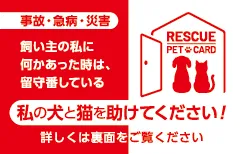 Rescue Pet Card 表面デザイン